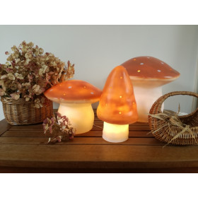 Lampe champignon grand terra - Egmont Toys