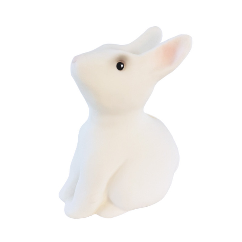 Tirelire lapin - Egmont Toys