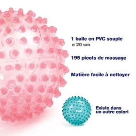 Description de balle de massage rose ludi